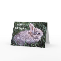 Bunny Rabbit Birthday Card by deesbasenjis Bunny Rabbit Birthday Card