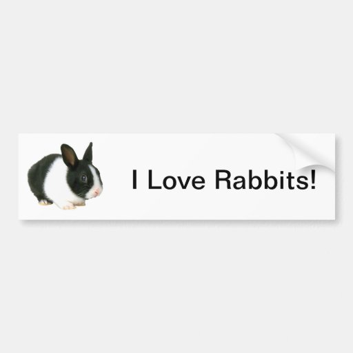 Bunny Rabbit Black & White Bumper Sticker