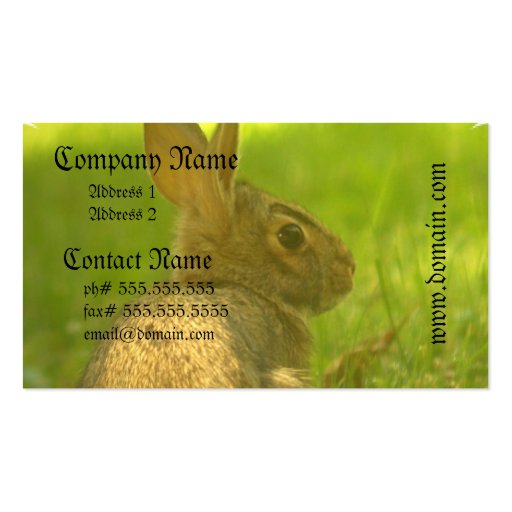 Bunny Rabbit Business Cards (front side)