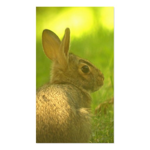 Bunny Rabbit Business Cards (back side)