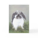 Bunny Rabbit Card by hop4joy Bunny Rabbit Card