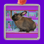 Bunny Rabbit Chritmas with Snowman Holiday Boxes ornaments