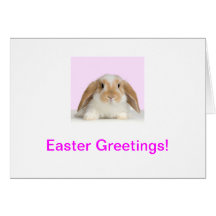 Bunny Rabbit Easter Card