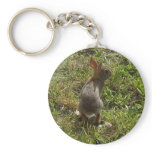 Bunny Rabbit Hare Stuff Keychains