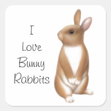 Bunny Rabbit Love Customizable Square Sticker