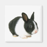 Bunny Rabbit Magnet