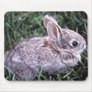 Bunny Rabbit Mousepad mousepad