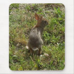 Bunny Rabbit Mousepad