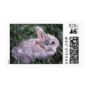 Bunny Rabbit Postage postage