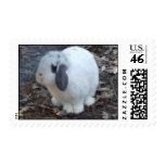 Bunny Rabbit Postage
