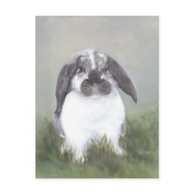 Bunny Rabbit Postcard by hop4joy