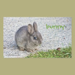 Bunny rabbit - sticker stickers