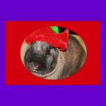 Bunny Rabbit with Santa Hat says  Large Poster posters