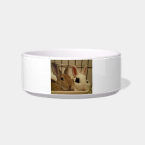 Bunny Rabbits Pet Bowl Cat Bowls