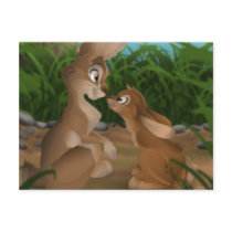 Bunny Rabbits Postcard