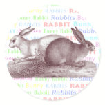 Bunny Rabbits Stickers - Dress Up Your Packages stickers
