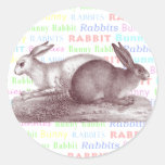 Bunny Rabbits Stickers - Dress Up Your Packages
