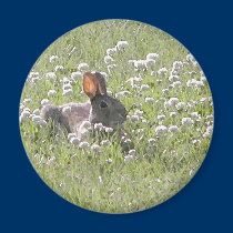 Bunny Round Magnet by toots1 Bunny Round Magnet