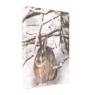 Bunny Seeking Shelter Canvas Print