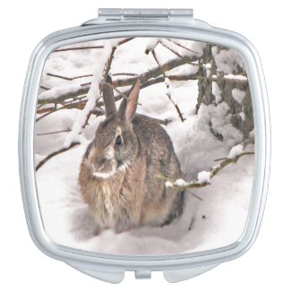 Bunny Seeking Shelter Compact Mirror