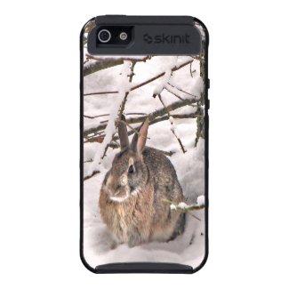 Bunny Seeking Shelter Covers For iPhone 5