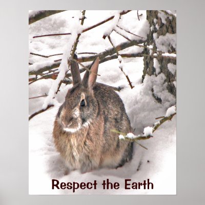 Bunny Seeking Shelter Earth Day Poster