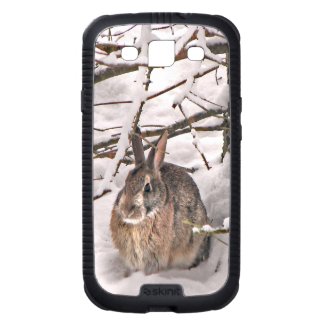 Bunny Seeking Shelter