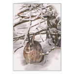 Bunny seeking shelter greeting card