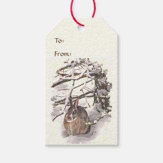 Bunny Seeking Shelter Pack of Gift Tags