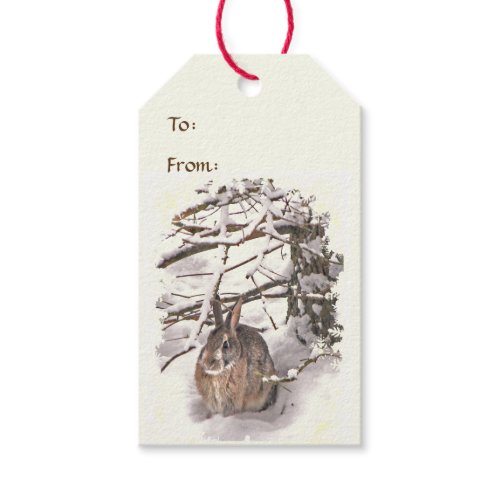 Bunny Seeking Shelter Pack of Gift Tags
