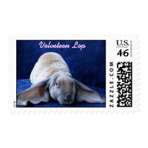 Bunny, Velveteen Lop, Velveteen Lop stamps