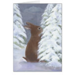 Bunny Winter Card
