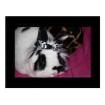 Bunny with Bow Postcard