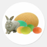 Bunny with Colored Eggs Round Sticker
