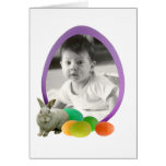 Bunny with Eggs Photo Greeting Card cards