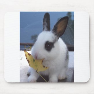Bunny with leaf mousepad