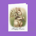 Bunny with Pussy Willow Card by dreamingagain Bunny with Pussy Willow Card