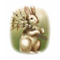 Bunny with Pussy Willow T-Shirt by dreamingagain Bunny with Pussy Willow T-Shirt