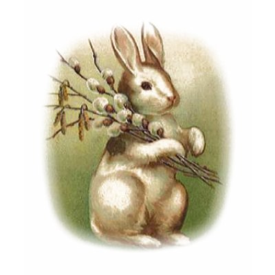 Bunny with Pussy Willow T-Shirt by dreamingagain