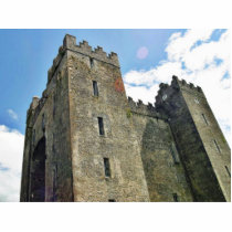 Bunratty Castle photo sculptures by lifesphere Bunratty Castle photo sculptures