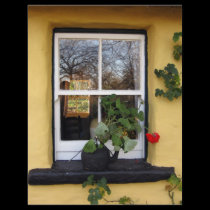 Bunratty cottage flyers