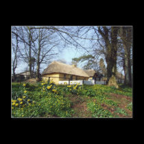 Bunratty Folk Park cottage postcards