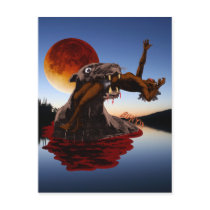Bunyip Postcard