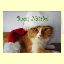 Buon Natale - Cat Wearing Santa Hat cards