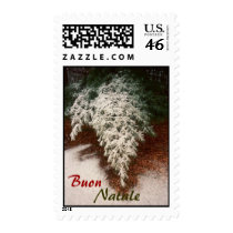Buon Natale Pine Branch postage by JaclinArt Buon Natale Pine Branch postage