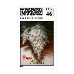 Buon Natale Pine Branch Postage Stamps