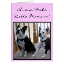 Buona Festa della Mamma Boston Terriers card