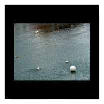 Buoy and seagulls posters by ribizlifozelek Buoy and seagulls posters