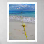 Buoys Poster