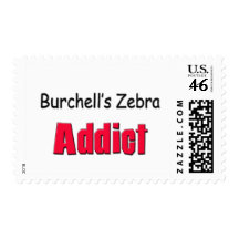 Burchell's Zebra Addict Postage Stamp